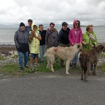 Private walk with Irish Wolfhounds- 90 minutes