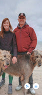 Private couples Walk with Irish Wolfhounds- 90 minutes